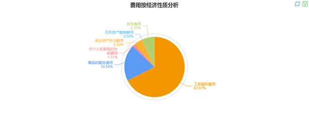 费用按经济性质分析